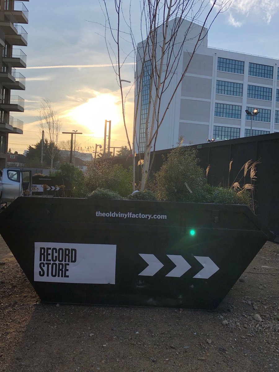 Are these not the best looking skips ever...Nipper did a great job🐶 😁  Record Store this way... buff.ly/2I4ps6p #recordstore #hayes #regeneration #tovf #nipper