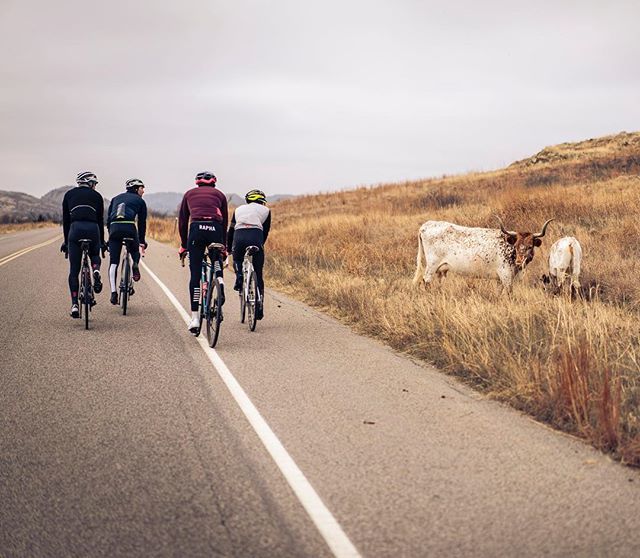 alliedbikes's tweet photo. Ever been chased by a longhorn? It’s different than a dog. #huphup #sprintintervals #whoistheslowest https://t.co/dEKoFlPpMM