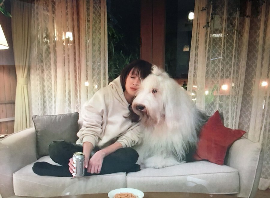 初めて恋をした日に読む話 ドラマに出てくる犬は 原作は
