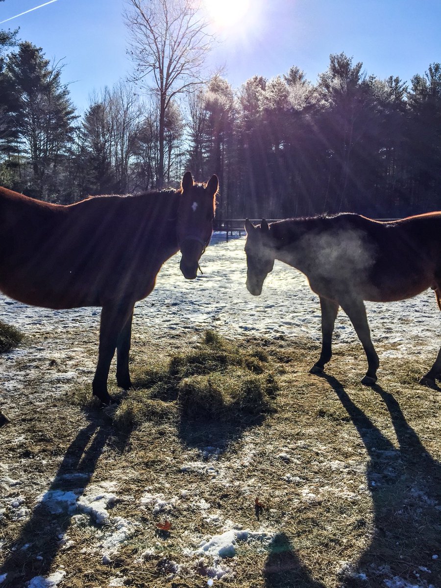 Old Friends At Cabin Creek On Twitter It Was A Cold But Sunny