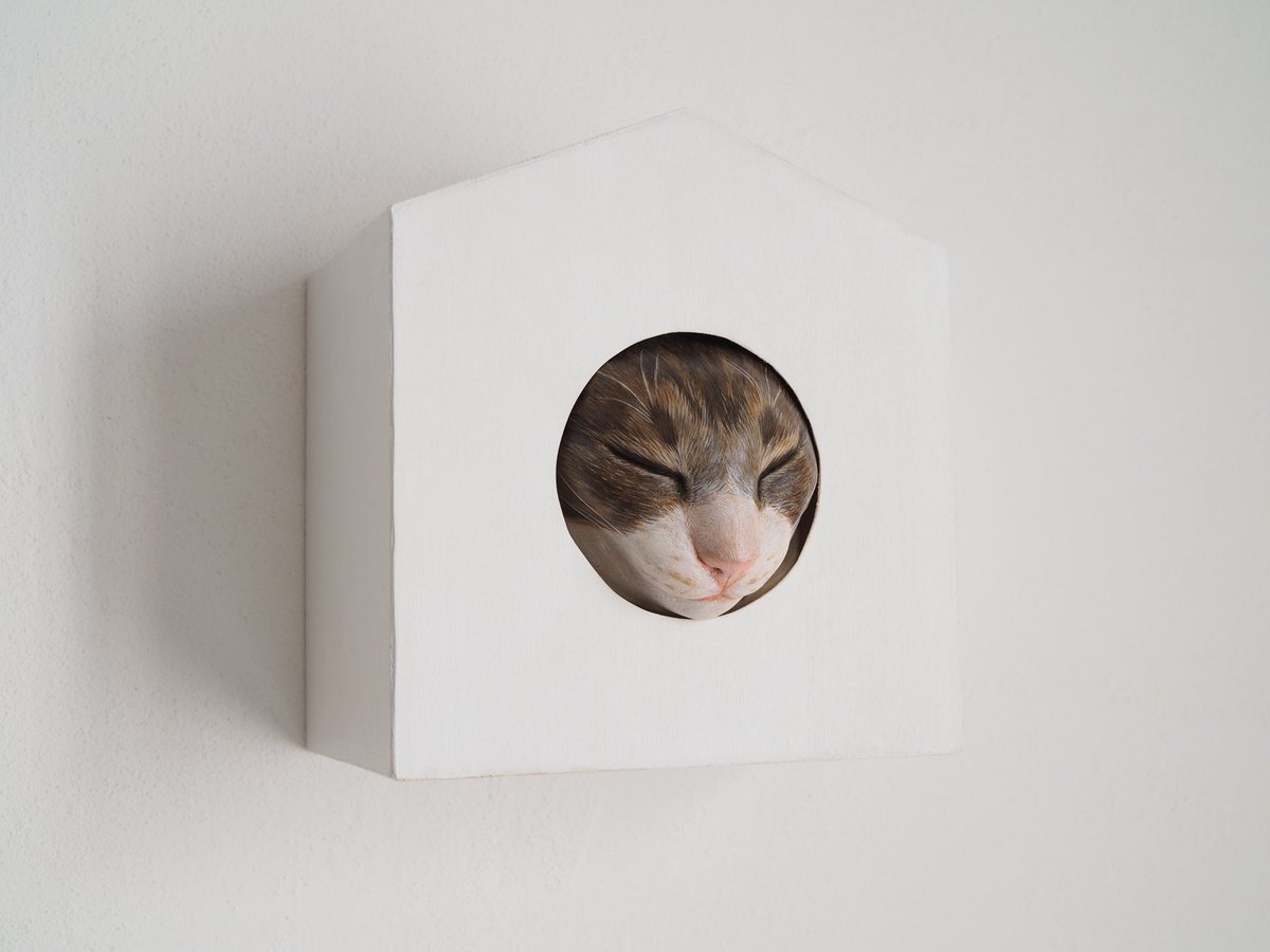 矢吹 多歌子 Takako Yabuki tweet media