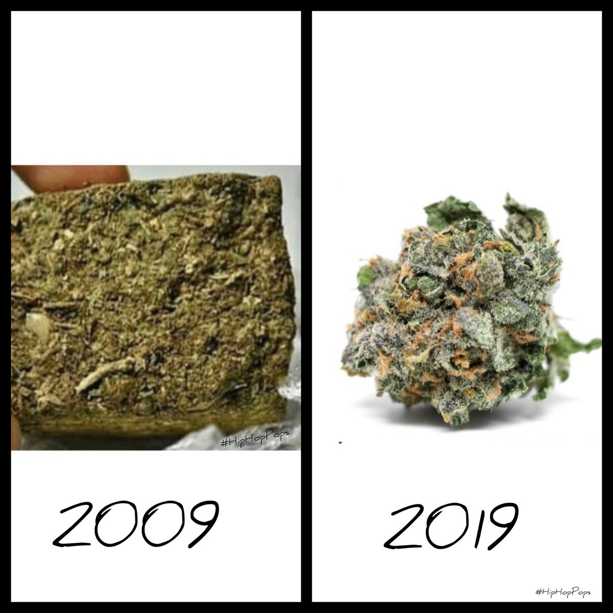 DaRealXray's tweet photo. If we're being honest 😂😂😂 #HipHopPops
#OnMyJob #TakeBackCool #TuesdayThoughts
#HowHardDidAgingHitYouChallenge #Weed #WeedMemes #GrapeGod #MedicalMarijuana #HighTimes #TheGrowUp #MarijuanaCulture #DispensaryDan https://t.co/OVQOr7a4jh
