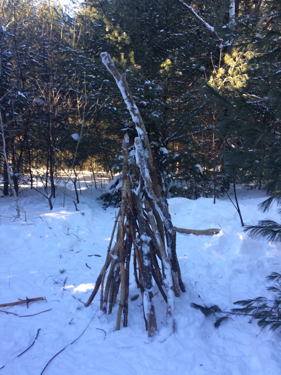 We’ve been building in the forest! #stablestructures #mathoutside