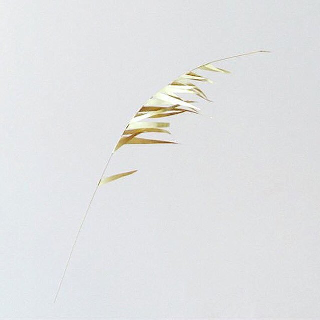 Tenderpixel (@tenderpixel) on Twitter photo #JoanaEscoval #TheSunLovers opens tonight, 7-9pm <a href="/Tenderpixel/">Tenderpixel</a>  all welcome to join us! /// image: Joana Escoval, Wind, or where man and animals meet, 2012
Brass. #JoanaEscoval #TheSunLovers opens tonight, 7-9pm <a href="/Tenderpixel/">Tenderpixel</a>  all welcome to join us! /// image: Joana Escoval, Wind, or where man and animals meet, 2012
Brass.