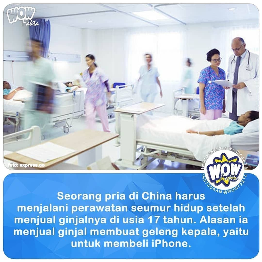 kreatorwow's tweet photo. Seorang pria di China harus menjalani perawatan seumur hidup setelah menjual ginjalnya di usia 17 tahun. Alasan dia menjual ginjal bikin geleng kepala, yaitu untuk beli iPhone 4!....
.
.
https://t.co/MjC8qJg8lq
.
@WOWFAKTA
#wowfakta
#wowfaktaviral
#viral https://t.co/yvoTbbW9hJ
