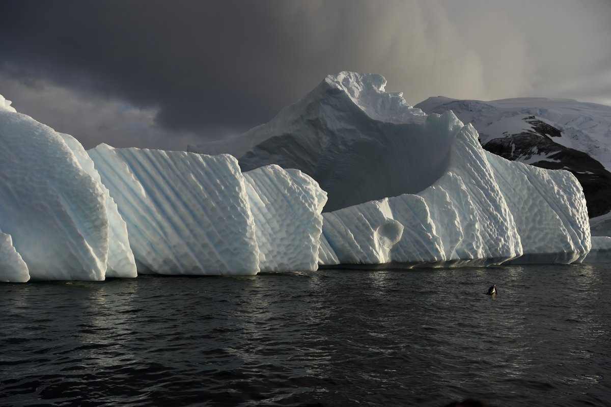 BFMTV's tweet photo. La glace de l'Antarctique fond de plus en plus vite https://t.co/Sd59q71m5W https://t.co/64PNeQJpJ9