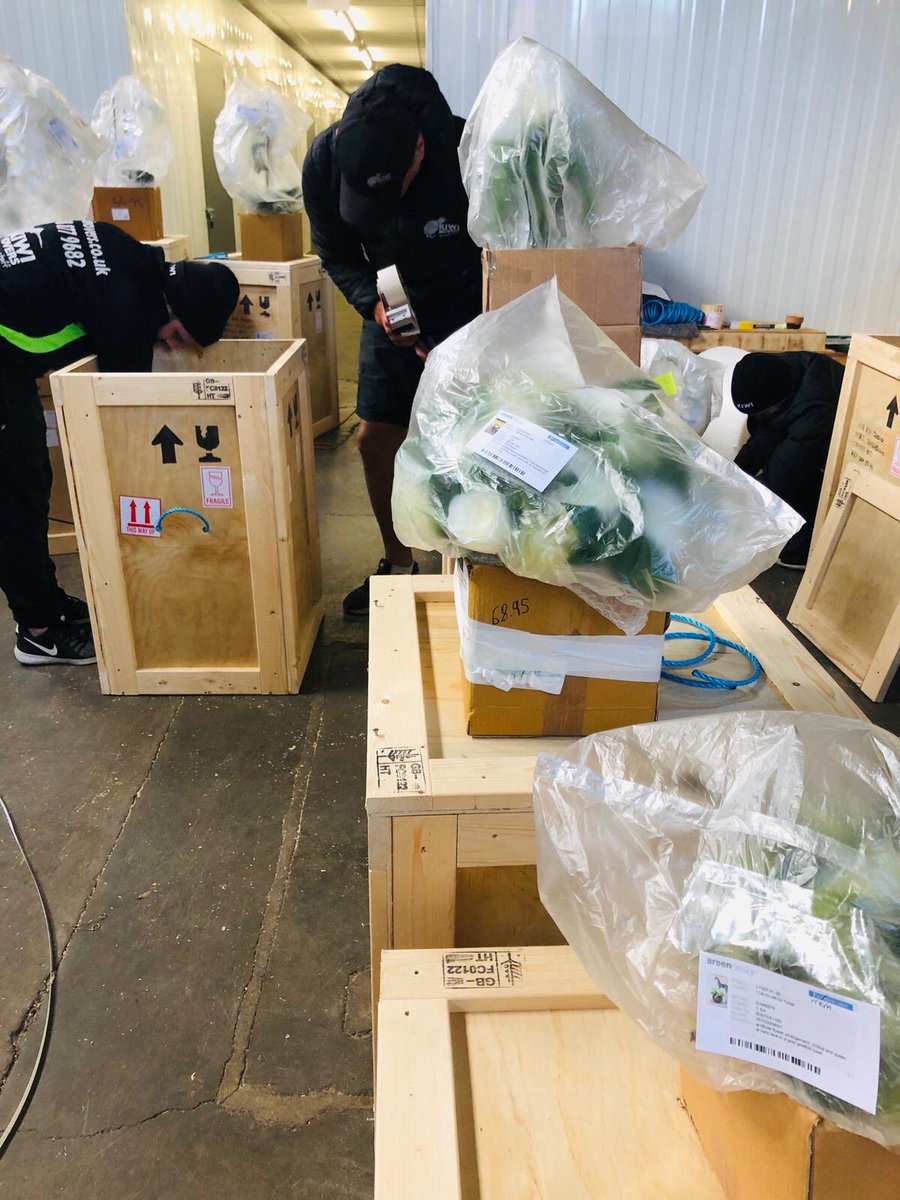 Delicate and delightful work for florist in #Surrey #smelltheroses 🌹 #moving #packing