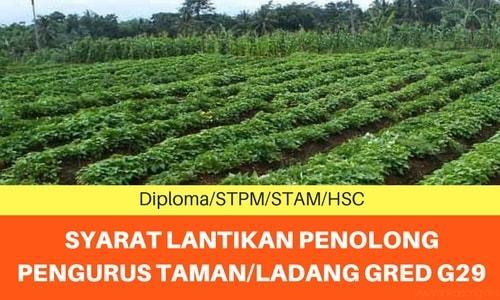 jawatan2u's tweet photo. Deskripsi Tugas Penolong Pengurus Taman/Ladang Gred G29 https://t.co/ShfXIeAGIS https://t.co/IQXHG2WxVa