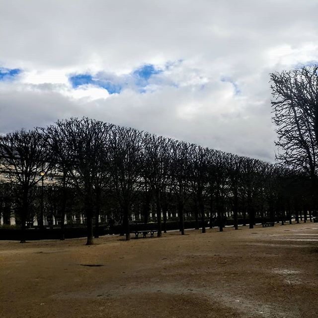 sonjaBajic's tweet photo. "How are you? The weather is kinda heavy today..." - I noticed.
"Life is heavy today." - he replied 😑
My favourite spot in Paris. Beautiful even when as gloomy as our thoughts... 🐦
#palaisroyal #paris #paristoday #parisnow #park #parispark #almostsp… https://t.co/3PoD8XZSsJ https://t.co/grETmA8vGN