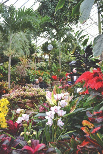 Join us on Sunday, January 27th for the Paradise Garden Festival at Planting Fields Arboretum. 11am-4pm. Free admission! Live music, kids crafts, and Coe Hall will be open. For more information, visit plantingfields.org