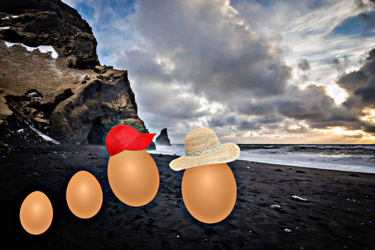 RVKsightseeing's tweet photo. World famous family on our South Coast tour today. Apparently they all had an eggsellent time #Iceland #worldrecordegg https://t.co/14CiN8FTSC