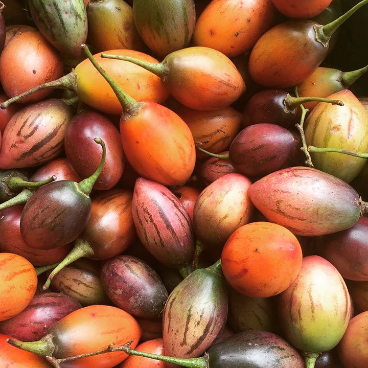 SecreTurAmbDep's tweet photo. El #chilto es un fruto de la región de las yungas de sabor agridulce que se consume fresco o en ensaladas. A través del proyecto Uso Sustentable de la Biodiversidad, incentivamos el uso de productos forestales no madereros que promueven el desarrollo sustentable de sus pobladores https://t.co/aDcvVxDCsx