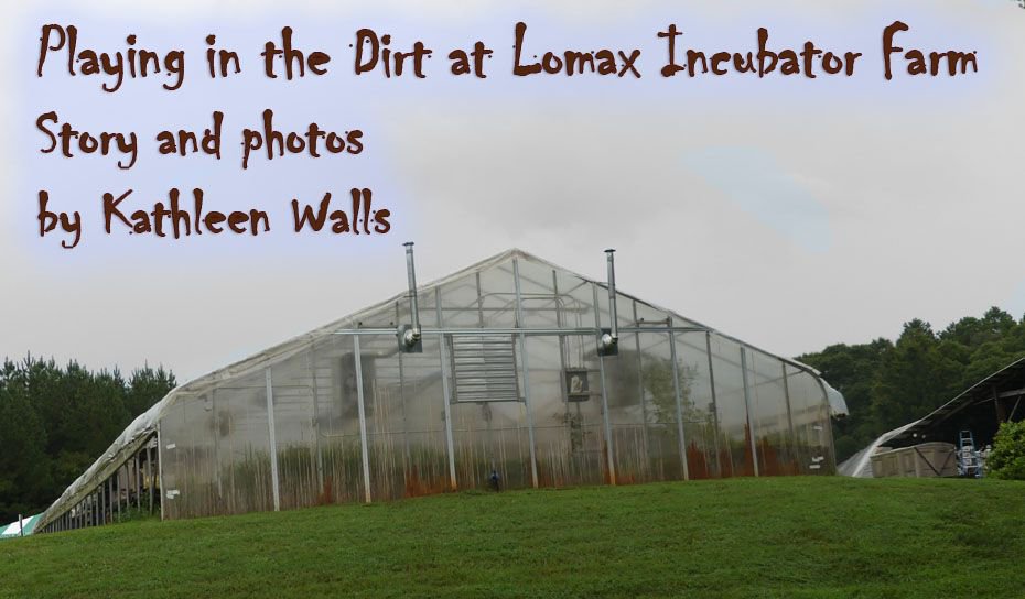 katywalls's tweet photo. Travel down Agr iLanes--Lomax Incubator Farm https://t.co/7U2XU6LugJ  Where would we be if it weren't for #farmers?  #IFWTWA #TravelTuesday #VisitNorthCarolina https://t.co/6tdiFzc5a4