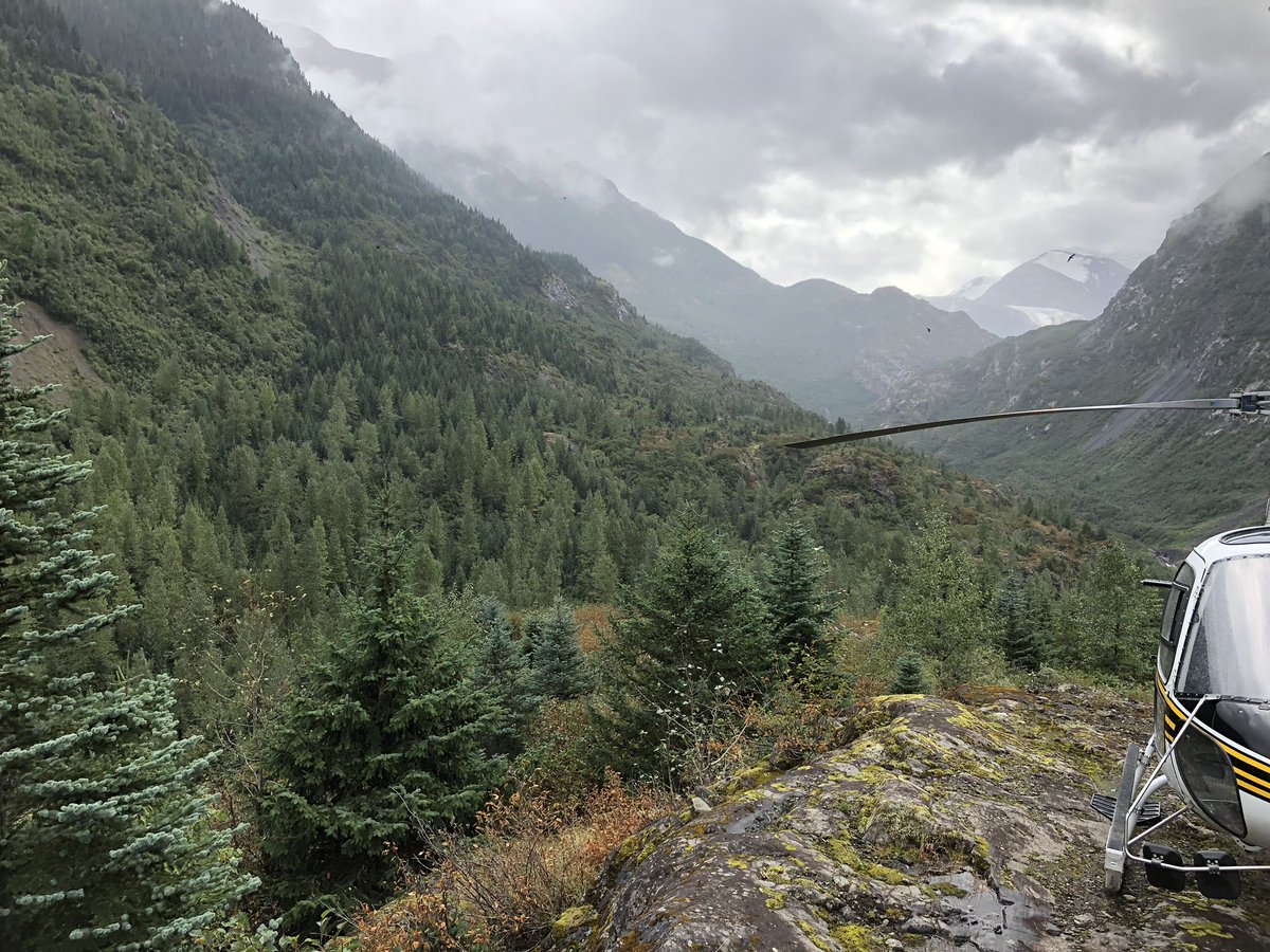 cambgold's tweet image. IDM Mining Receives Federal Environmental Assessment Aproval for the Red Mountain Underground Gold Project.  The project can now apply for Mines Act permits for development and operation.  idmmining.com/news/index.php… #bcmining