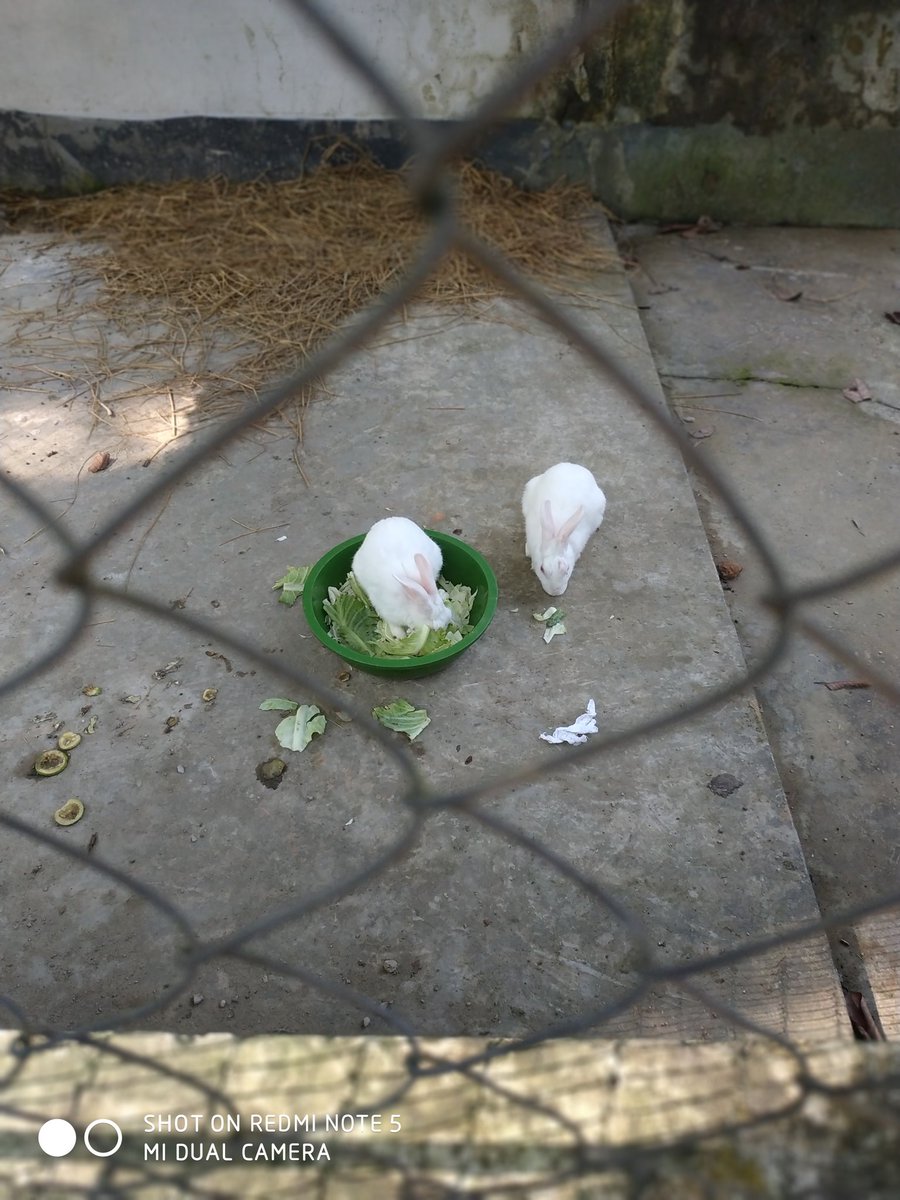 AndHalte's tweet image. #naturalbeauty