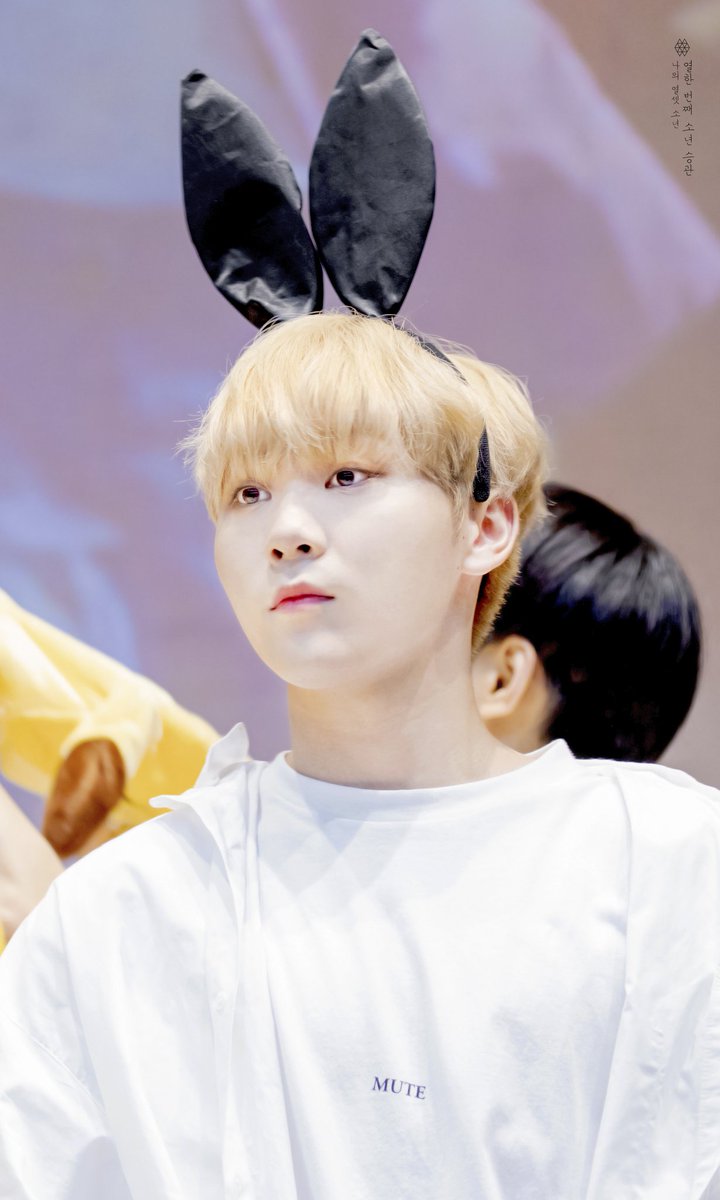 My13boys_0526's tweet photo. 뿌야 항상 다정하게 따뜻하게 팬들 생각해줘서 고마워:) 난 승관이를 알게되서 정말 기뻐 승관이가 부르는 노래를 들을 수 있어서 행복해❤ 우리 승관이 더 빛날 수 있게 응원할게 소중한 뿌랑둥아 생일 축하해 항상 사랑하고 고마워❤❤
#부승관_생일축하하겠어_어어어
#BOO_MAKE_MY_DAY
@pledis_17 https://t.co/bvkgyQ6H9L