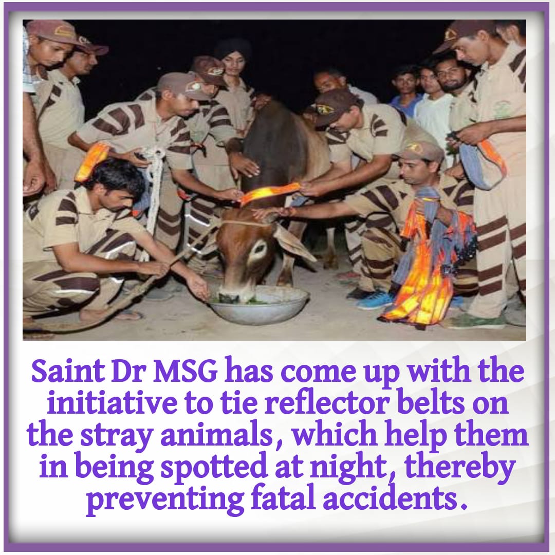 deepakb006's tweet photo. #RoadSafetyInitiativeByStRamRahim https://t.co/hKJWgTfTs0