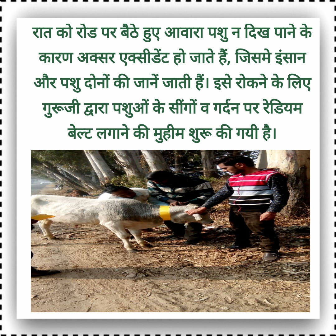 deepakb006's tweet photo. #RoadSafetyInitiativeByStRamRahim https://t.co/41VutKcdI9