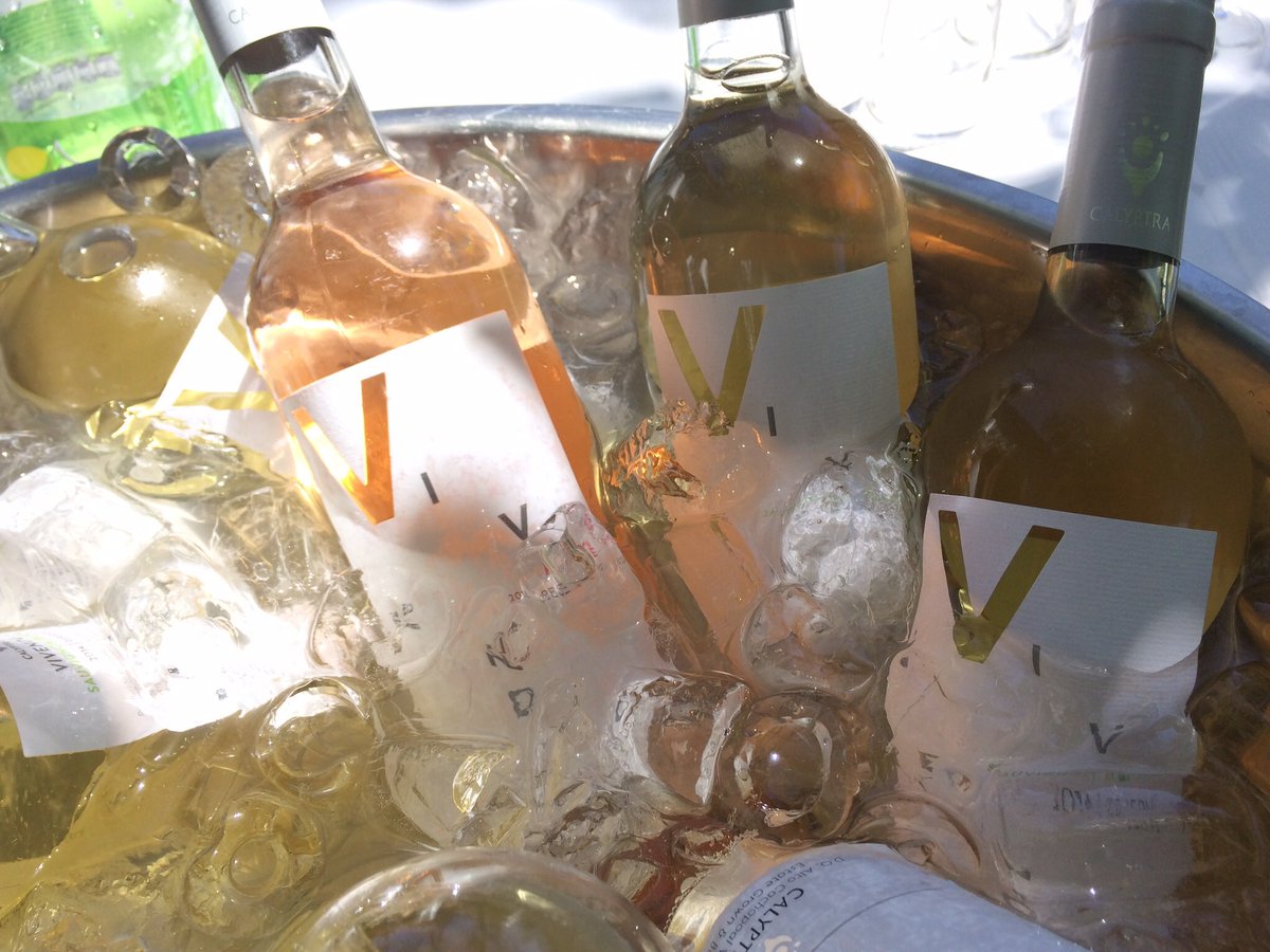 <a href="/calyptrawines/">Calyptra</a> Vivendo para dar la bienvenida al verano ☀️😃! #calyptrawines #calyptragranreserva #calyptravivendo #calyptralover #vallealtocachapoal #altocachapoalvalley #winesofchile #winelover #wine #winevinhos #vinho #wein 
calyptra.cl