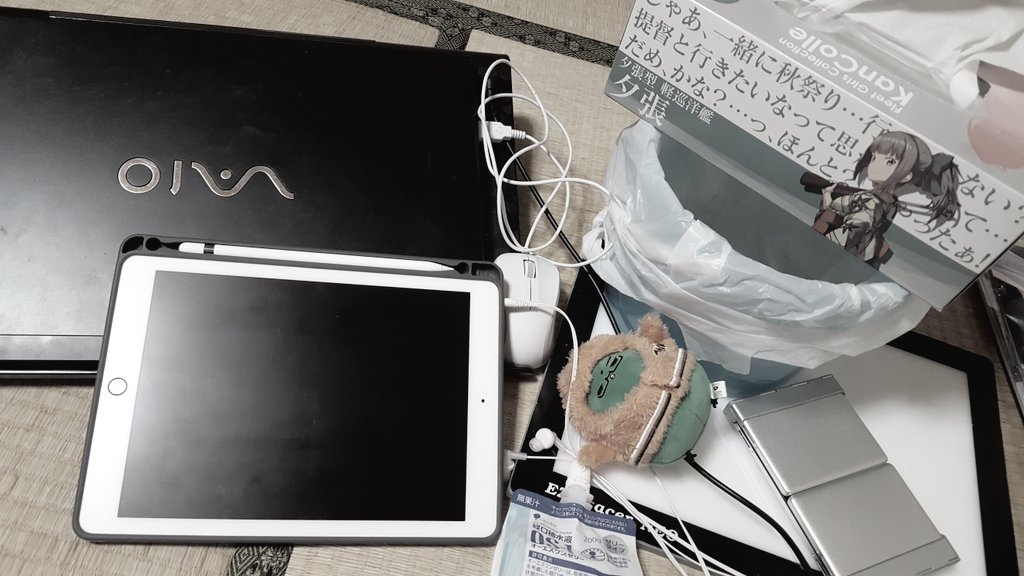 寝込む準備は出来た…インフルエンザよ、いつでもかかってきな… 
