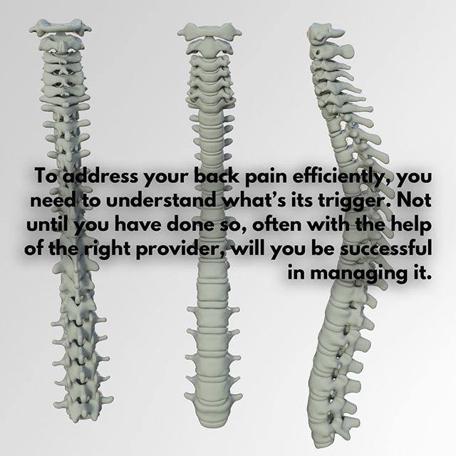ButheauPhysio's tweet image. #backpainrelief #backpain #backpainsolution #butheauphysio #healthyseattle #seattleconciergePT #movementismedicine #painmanagement
#physicaltherapy #physiotherapy
#rehab #health #movementmedicine #movement #fitness #fit
#movementspecialist #prehab #healthybody #healthy #healthyli