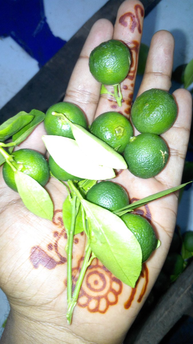 Md:Sohag tweet media
