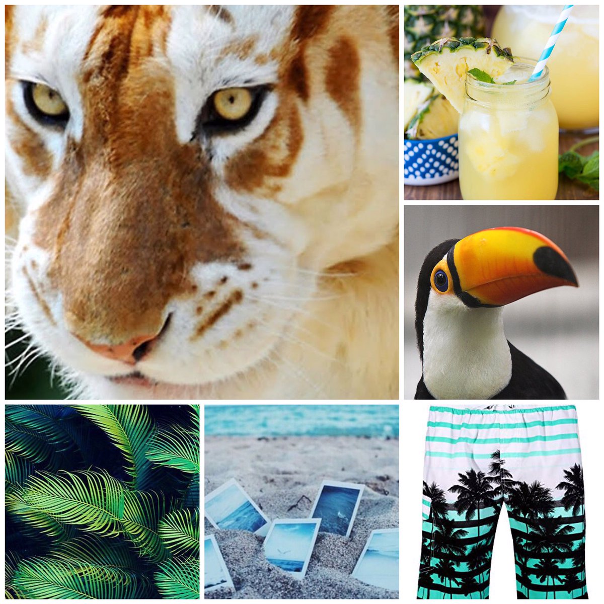 Once my queue is done I'll be getting back to designing these mood board  beauties ! The toucan tiger and dragon have been sketched out already .  Eeeee, image size:1200x1200