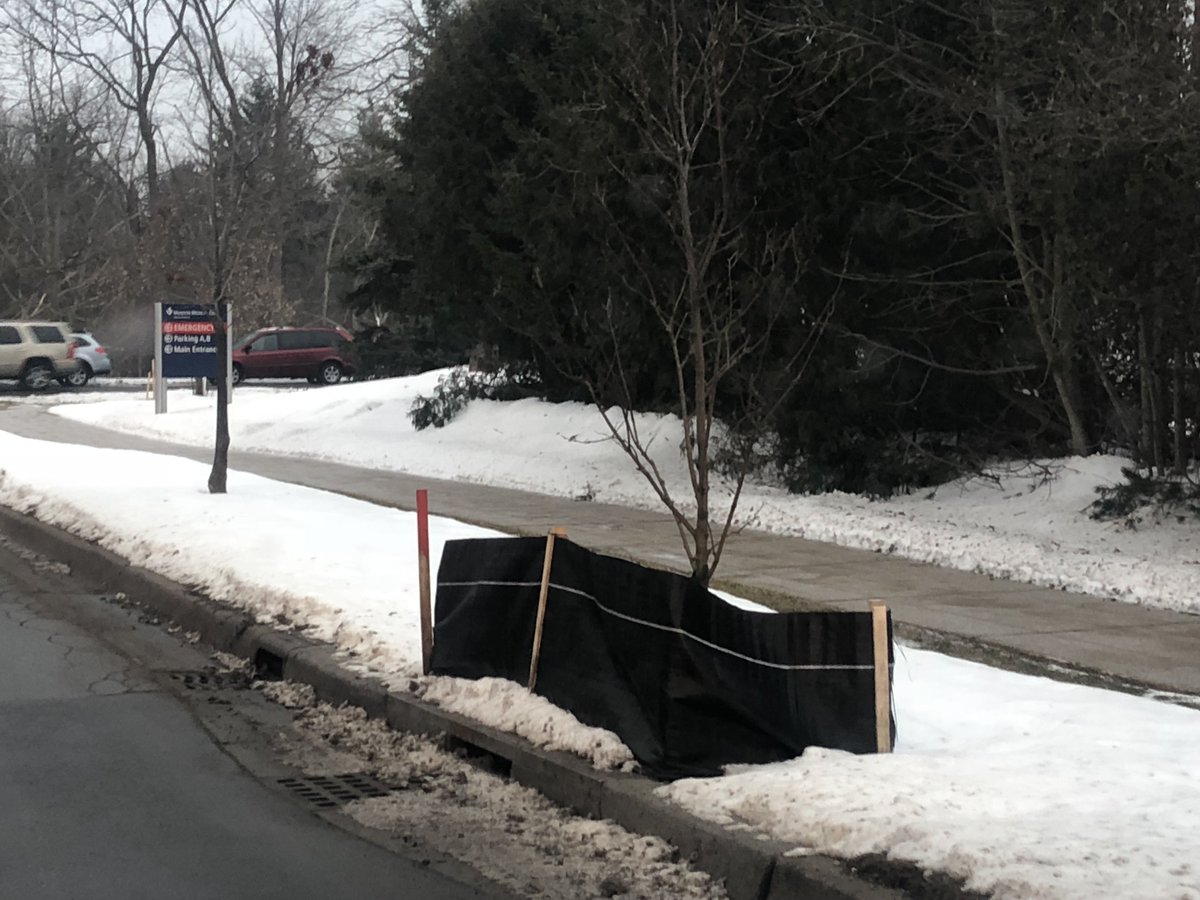 WatershedCenter's tweet photo. Yes! We worked with @MunsonHealthcar to install #treeboxes in an effort to reduce stormwater runoff and pollution to #KidsCreek. Their facilities team installed screens around the trees for winter, protecting them from spray & other stuff from snow plows. Thanks, Munson! https://t.co/W2aiL7Ej8f