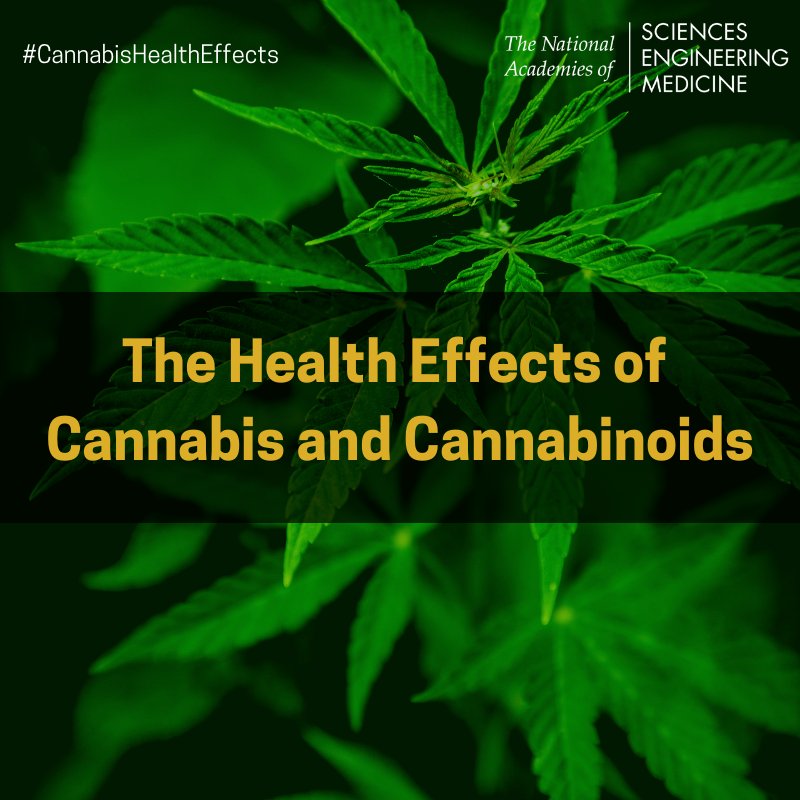 Our #CannabisHealthEffects report concluded there is substantial evidence of a statistical association between cannabis use &amp; development of schizophrenia or other psychoses but more research is needed to determine causality in this complex relationship. nap.edu/read/24625/cha…