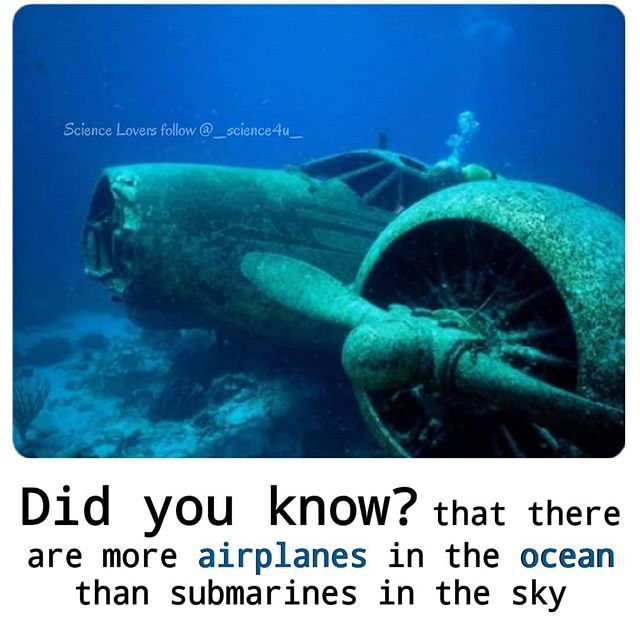 Science4u3's tweet image. 