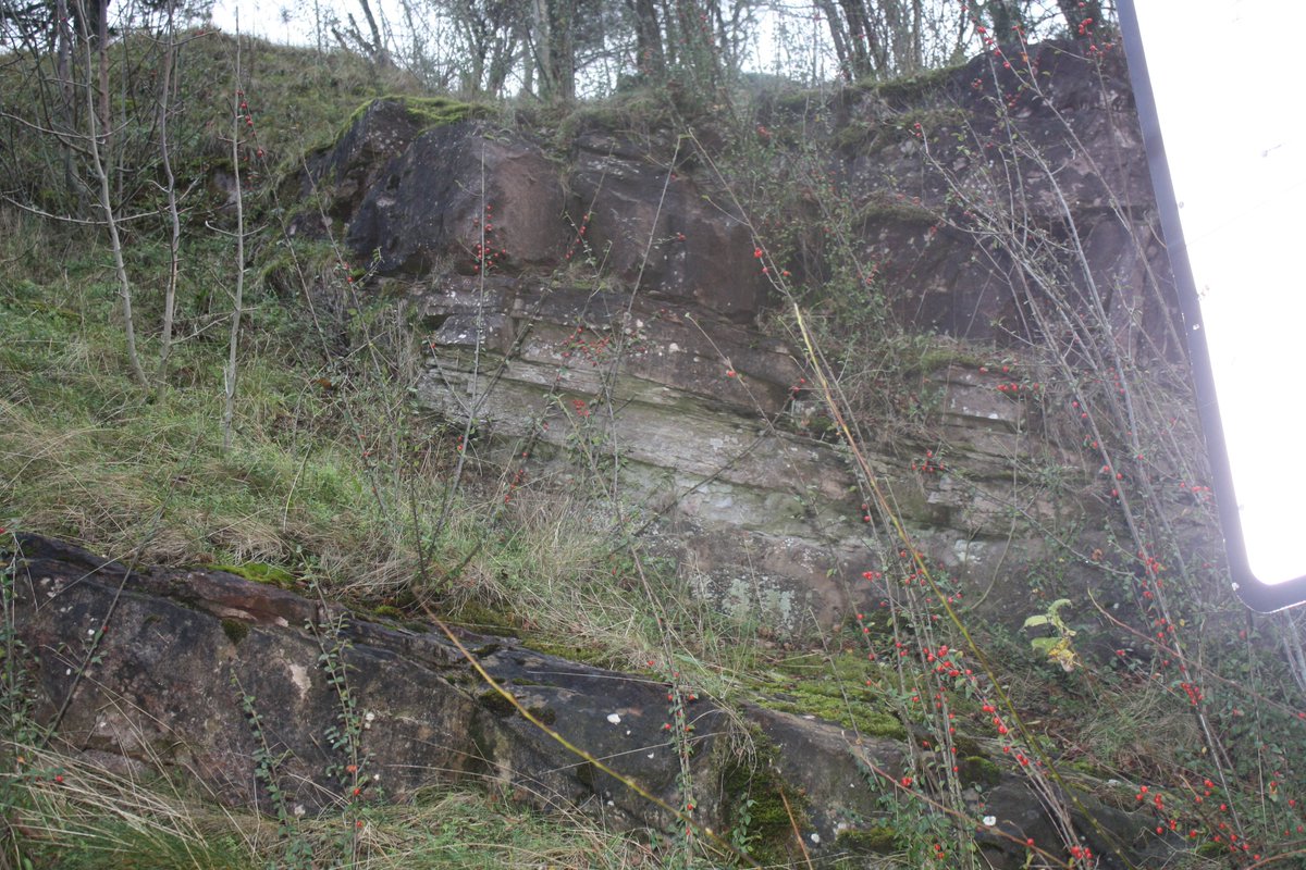 McGowanAlistair's tweet image. Out doing some #sitemonitoring of #Dreghorn LGS this morning in #Edinburgh. If you are an organization that needs technical help with #geodiversity recording, get in touch.