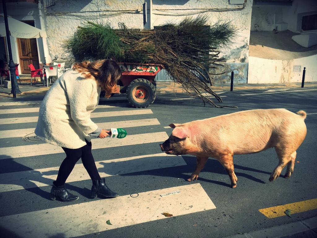 La entrevista más marrana hoy en <a href="/adirecto/">Andalucía Directo ❎</a> <a href="/mbarragan/">mbarragan</a> <a href="/peichsantana/">paz santana</a> <a href="/guadalinfotorvi/">guadalinfo.torvizcon</a> #fiestadeloschiscos #sananton <a href="/llenadevida_/">La Alpujarra</a> <a href="/ilovealpujarra/">I Love Alpujarra</a> <a href="/NewsAlpujarra/">Alpujarra News</a> <a href="/AlpujarraenFoto/">La Alpujarra en Foto</a>