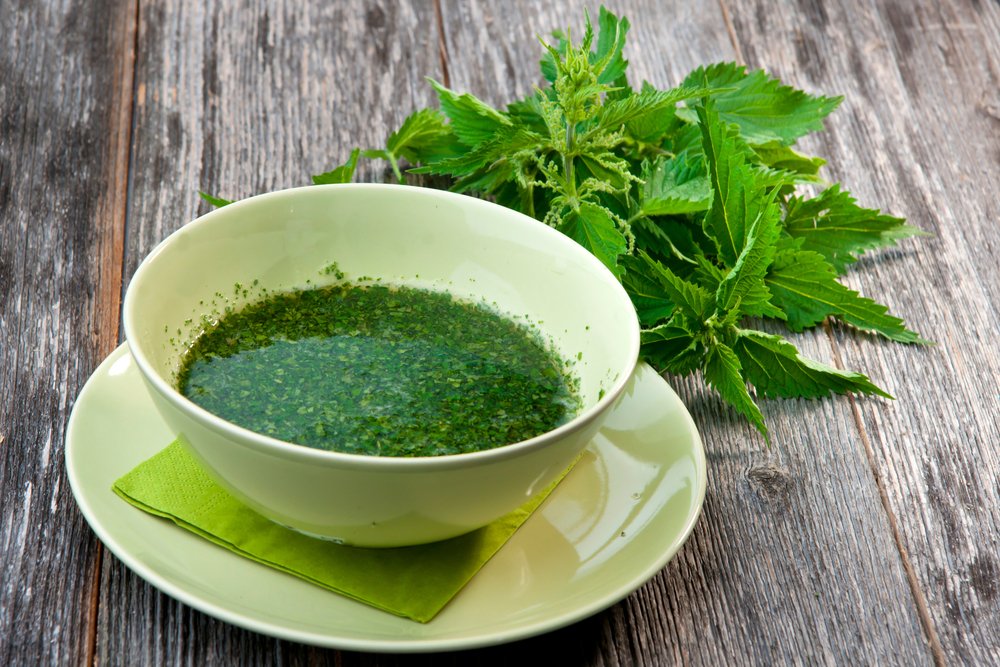 JunctionTesto's tweet image. Stinging Nettle Extract - not what you would expect to be taking to help boost testosterone, but its found in many products - but does it work? check it out - bit.ly/2M9VSLs #naturaltboosters #boosttestosterone