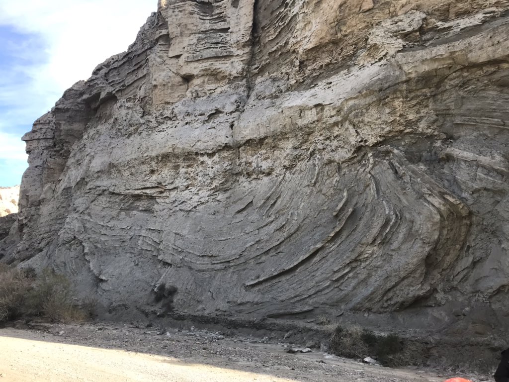 Desi_Palomino's tweet photo. Impresionante ejemplo de deslizamiento provocado por terremotos #slump #tabernas #turbititas #deepseasediments #elgordomegabed 😍 https://t.co/vINrVF2ajF