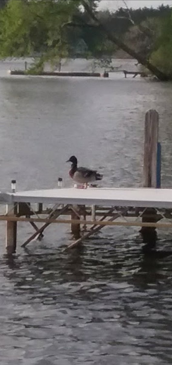 IsEnvironment's tweet image. Let's keep these waters clean, right everyone? @GinaRaimondo @SerpaPserpa2004 @SenWhitehouse @AllanFungRI @StephMachado @AllanFungRI @MikeWChip @OBrien2018forNP @repmorgan @Blake_Filippi @SenJackReed @RepRuggiero @SenLynchPrata #OurSkyy #climate #climatechange @1o5CleanEnergy #RI