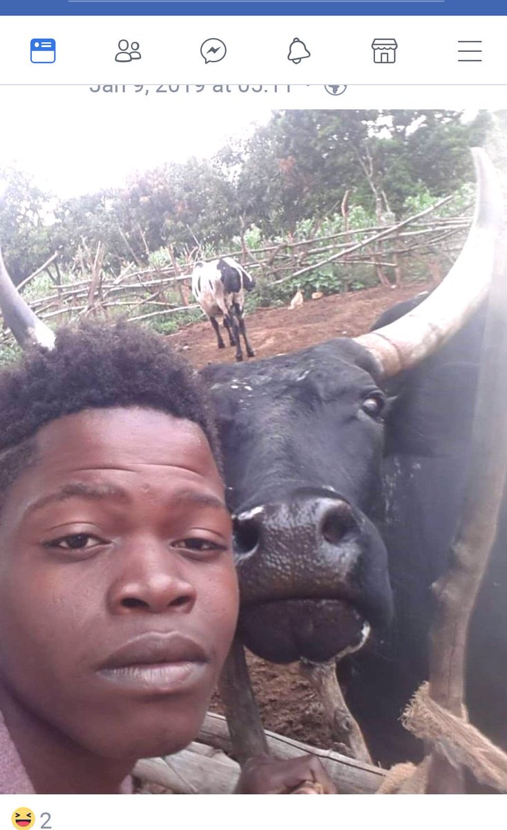 KingveeSA1's tweet photo. This is what Black people do for fun....true or not
#unti_racist https://t.co/jcaTmRNSKA