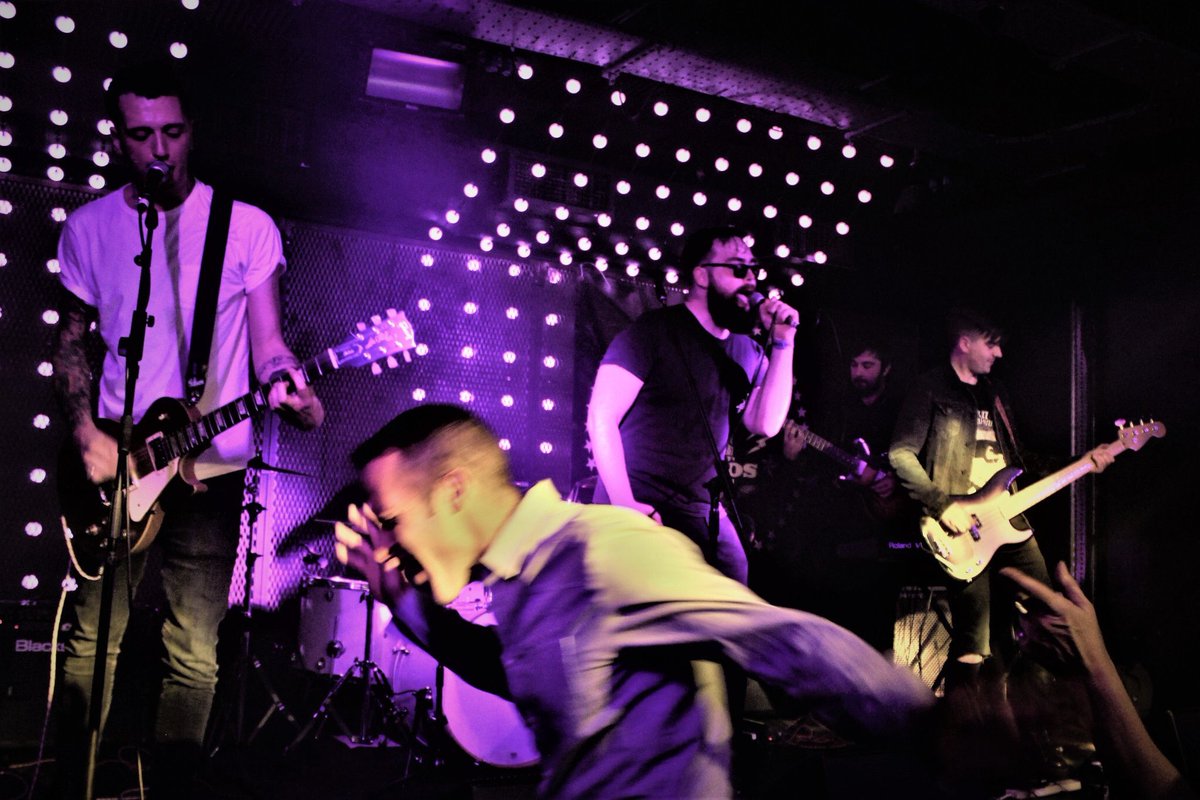 Mourning Birds tweet media