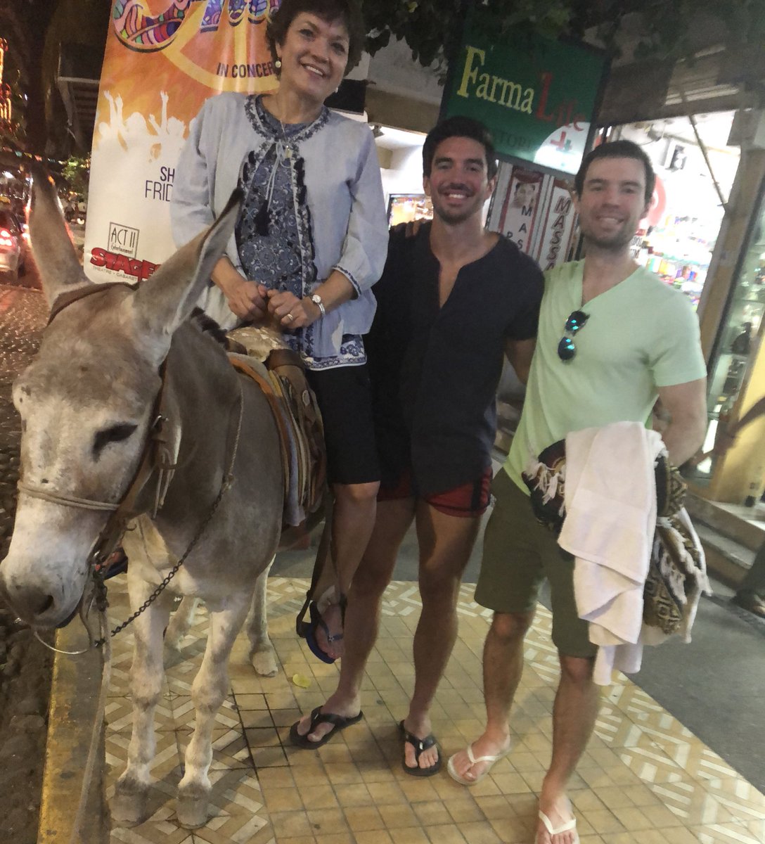 SteveGrandMusic's tweet photo. Donkey! 😍😍😍 https://t.co/F7ceNddqvt
