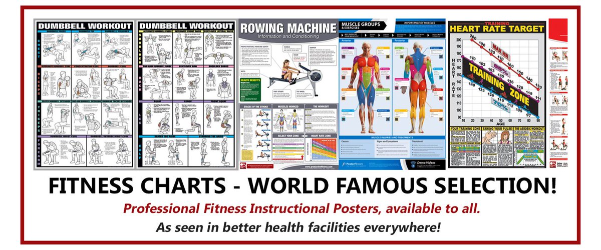 Productive Fitness Charts