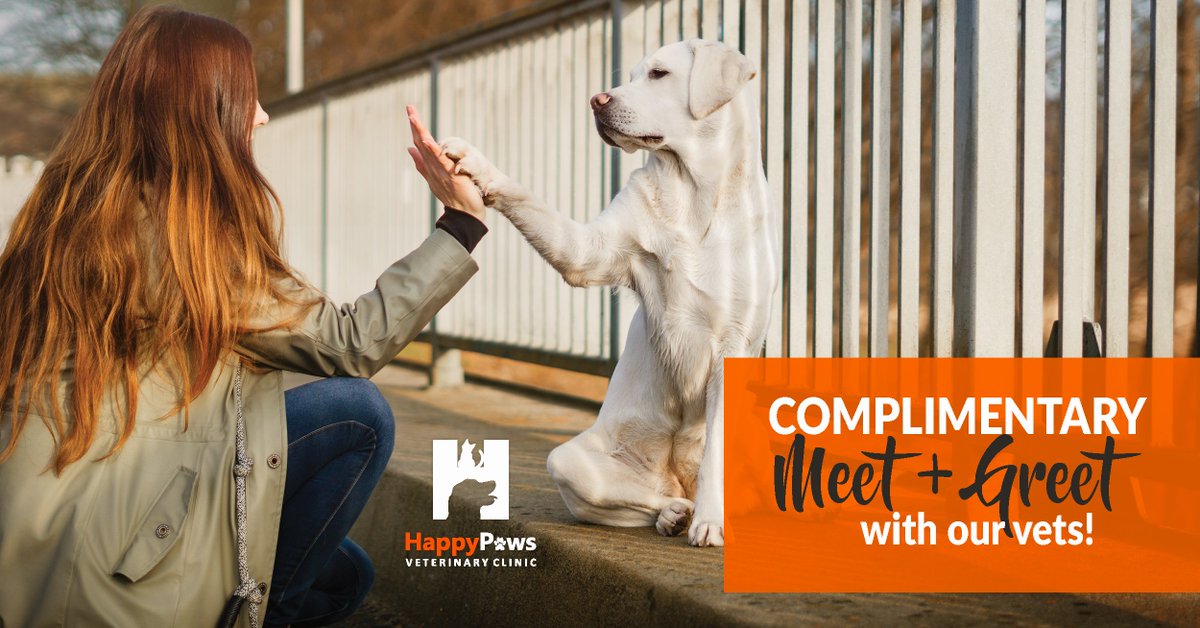 Tag a friend and refer them to Happy Paws and book a complimentary Meet &amp; Greet with our vets! Share the love! #referafriend #ShareTheLove #meetandgreet #petcare