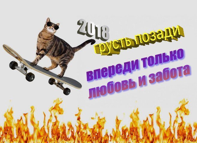 so_gud_so_tweet's tweet photo. https://t.co/c1puGHBBm5