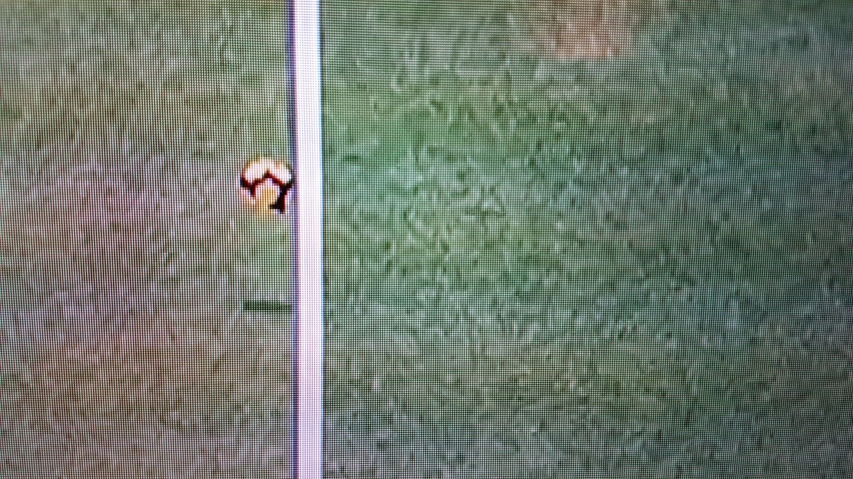 SalAhmad's tweet image. Look at the shadow of the ball #MCILIV