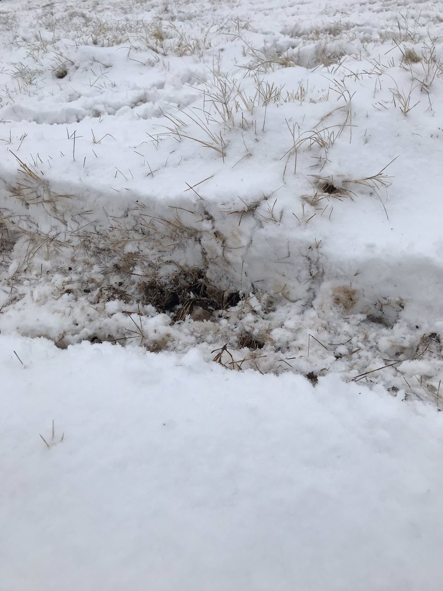 CrazyHillCattle's tweet photo. @MattD_KSWO South of Fort Cobb https://t.co/cs5TIre87O