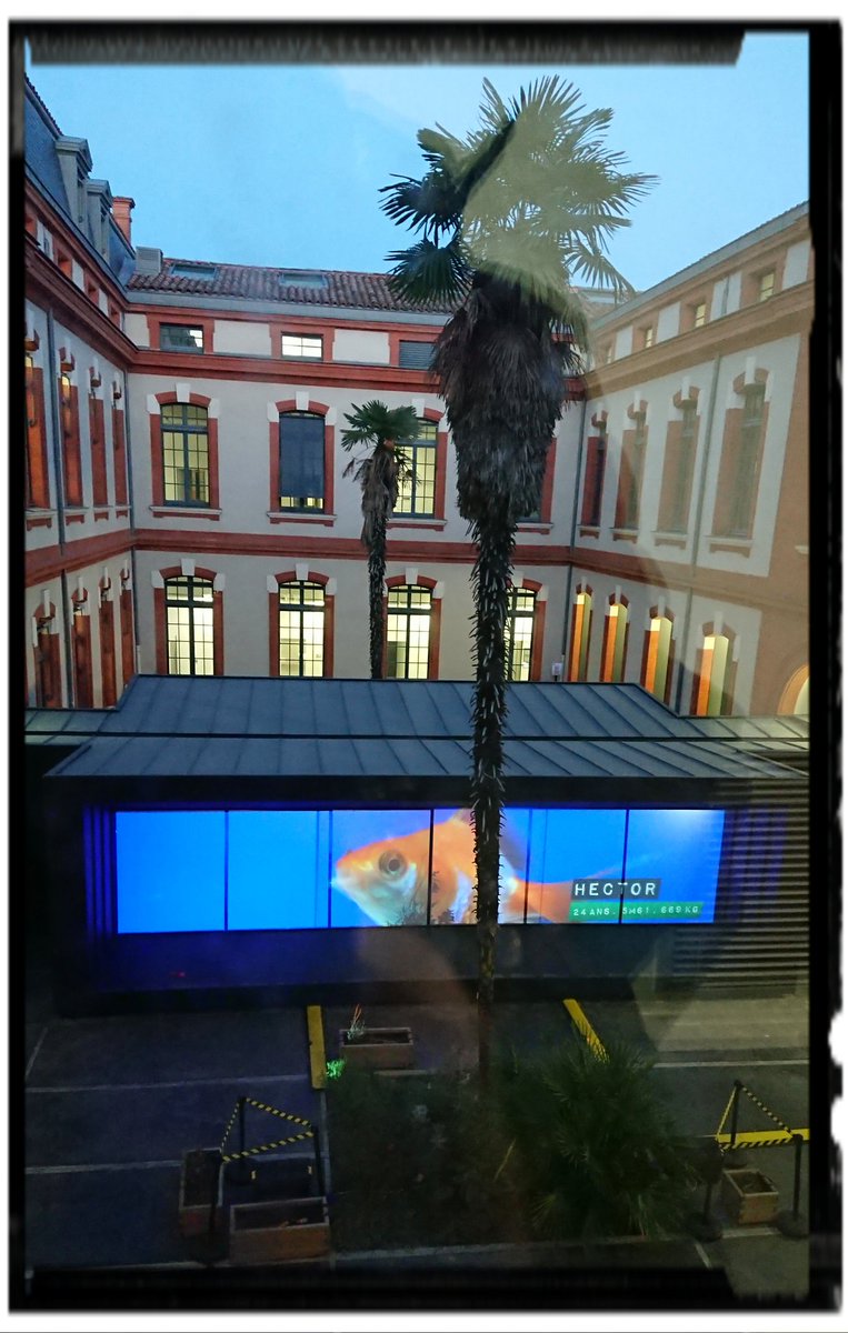 jfiliph's tweet photo. Les américains ont les dents de la mer, à #toulouse on a les dents du @QuaiDesSavoirs #luminopolis @LaCantine_Tlse https://t.co/Yo04dAWEJc