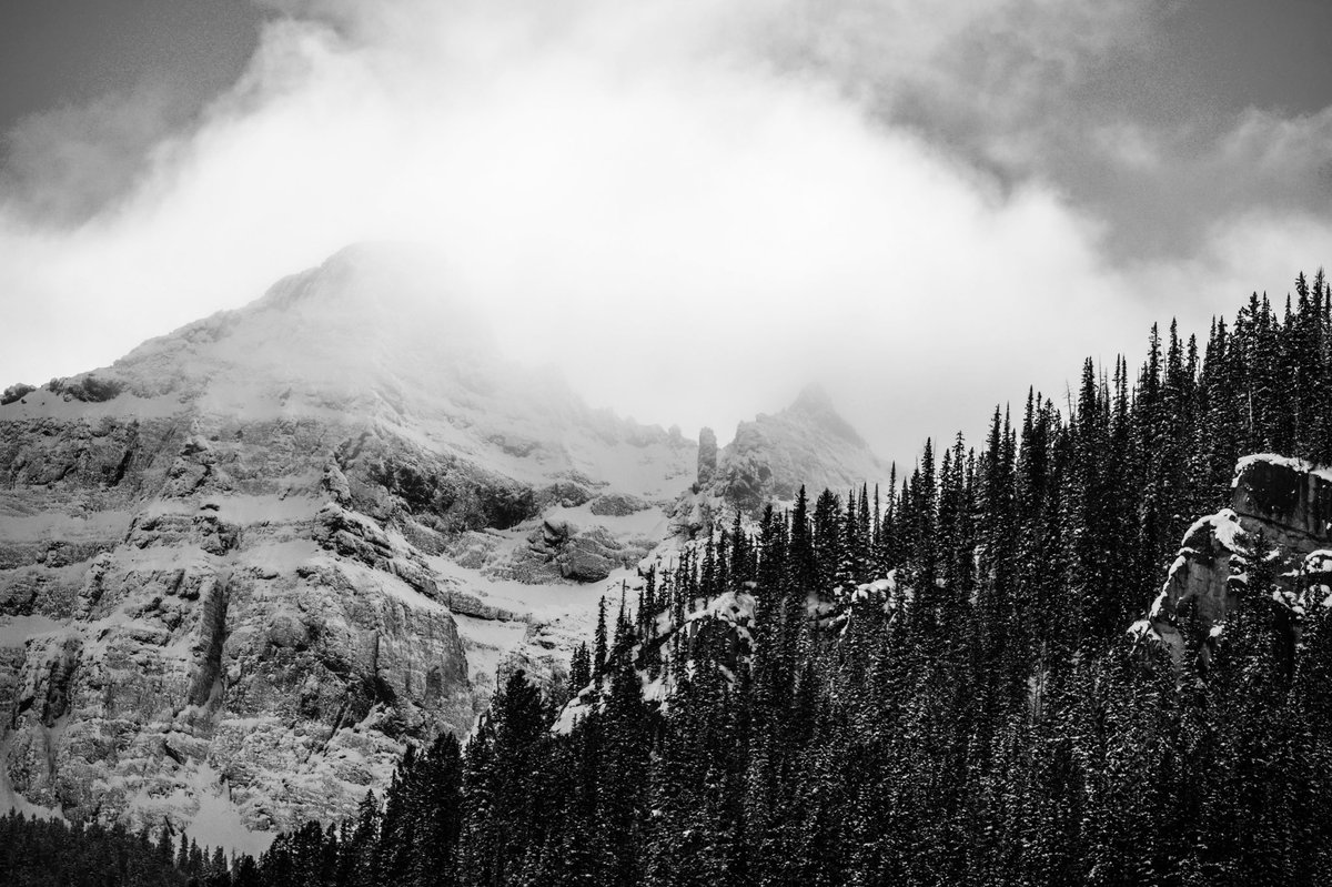 ChrisRiefPhoto's tweet image. “Over every mountain is a path, although it may not be seen from the valley.”
~ #TheodoreRoethke

Beautiful views on #NewYearsEve in @YellowstoneNPS #AbsarokaRange #YellowstonePledge @NP_Geek @ynpforever @YNPLodges #NationalParkGeek #FindYourPark