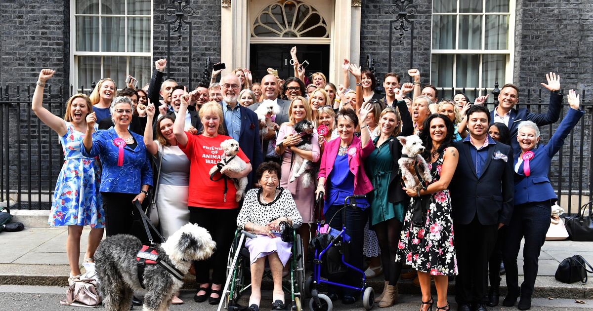 marcthevet's tweet photo. ‘2018 Review: The Year Of The Dog That Was’ A personal look back at last year’s events in the world of canine welfare & beyond: https://t.co/4N3Uv3UZR8 Thanks to everyone who’s supported #LucysLaw, @pupaid & @APDAWG1, means a lot X #wheresmum #adopt #pupaid2018 #animalwelfare https://t.co/m4DBqOC2Lv
