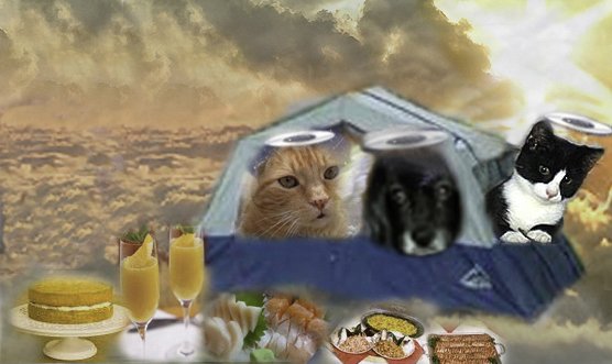 JinJinDoggy's tweet photo. Here is #AngelTeddy @toughteddybear in our original tent on #AngelGang cloud with #AngelPetie & me. https://t.co/9N2YE85Asw