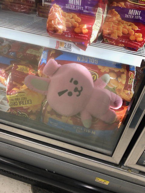 CookysParadise's tweet photo. Mom: Cooky why are you in the freezer get out!
Me: Not until you buy me tator tots!

Guess who got their tator tots.
•
•
•
•
#BTS #BT21 #Bangtang #Jungkook #JeonJungkook #Cooky #CookyBT21 #JungkookBT21 #Tatortots #Mine https://t.co/fjSP9IlDbr