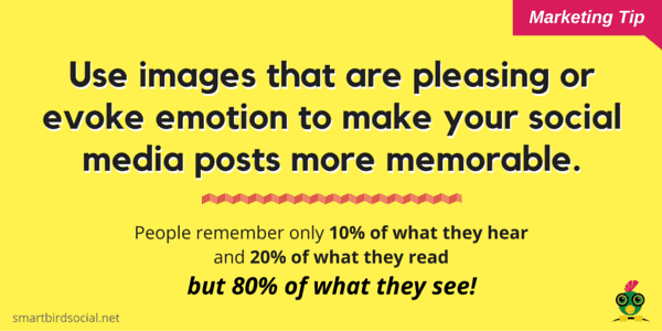 MeghanMonaghan1's tweet photo. Fact: Visual content is 40 times more likely to get shared on social media than other types of content.
#SmartBirdTip #contentmarketing https://t.co/bhGraOaEBP
