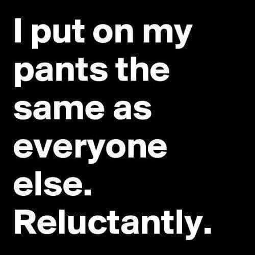 neversleeps29's tweet photo. No Pants Are The Best Pants https://t.co/QFTw32Ar3J